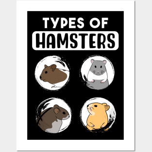 Types Of Hamsters Posters and Art